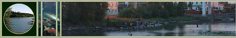 Salmon fishing in Ship Creek, Anchorage Alaska.