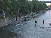 Ship Creek in Anchorage