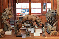 Gift Shop at the Conservation Center.